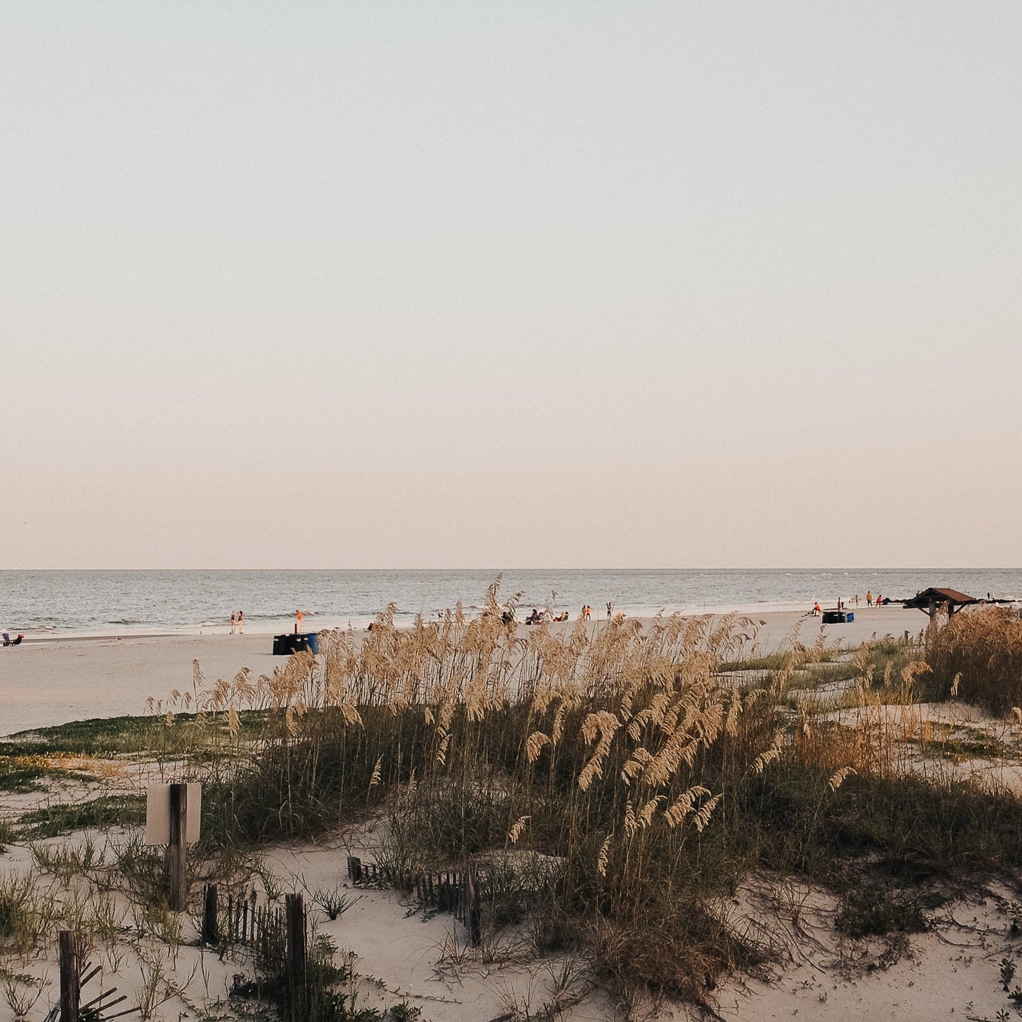 Sand + Sol Fragrance Oil